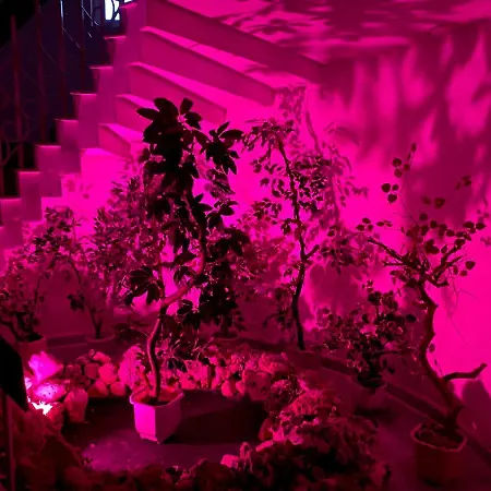 Fiesta Hotel Golden Sands